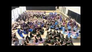 Harlem Shake Utah Color Guard Circuit Edition, Championships 2013
