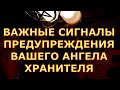 ВАЖНЫЕ СИГНАЛЫ И ПРЕДУПРЕЖДЕНИЯ ВАШЕГО АНГЕЛА ХРАНИТЕЛЯ гадания карты таро любви