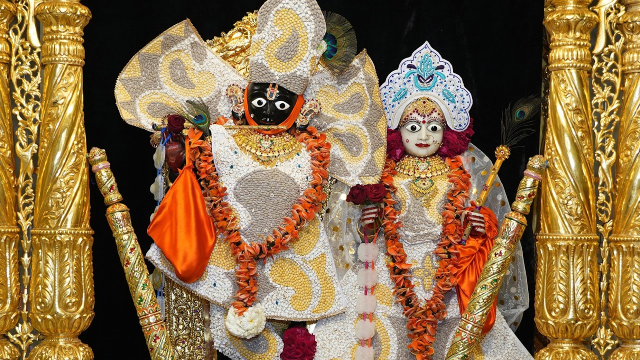 છ ધામના દેવોના આજના દિવ્ય શણગારના દર્શન તા:- ૦૧ / - ૦૩ /- ૨૦૨૬ | Daily Darshan