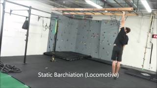 Brachiation Orientation
