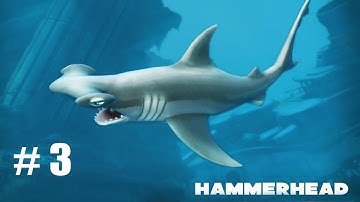 Hungry Shark Evolution HAMMERHEAD SHARK Android Gameplay #3