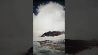 Razapinju Me Horhe Luis Borhes Jorge Luis Borges Govori Donatella Allegra