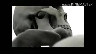 National Geographic incredible human machine promo