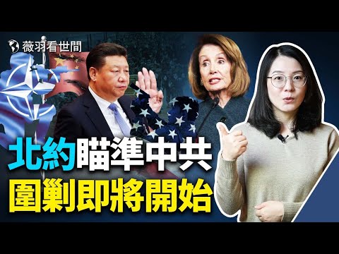 辟谣了!上海没有军管这回事?最牛上海居民!率先自治了!佩洛西访台阳性的奥妙;北约外长会议首提中共!|薇羽看世间 第468期 20220408