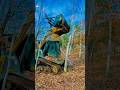 THE ULTIMATE LAND CLEARER: Watch This Mulcher Erase an Entire Forest! #engineering#automobile #viral