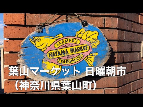 【葉山/Hayama】葉山マーケット 日曜朝市/Hayama Market Sunday Morning