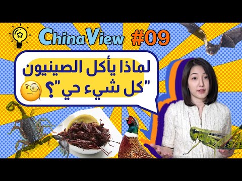 لماذا يأكل الصينيون كل شيء حي
