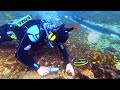 DIVER'S SHARK ENCOUNTER while Finding GOLD Metal Detecting UNDERWATER!!