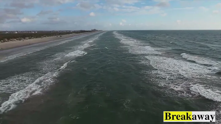 Your Best Damn Surf Fishing Report 11–20-2025