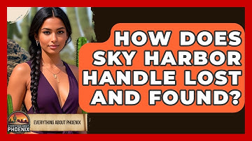 How Does Sky Harbor Handle Lost And Found? - Everything About Phoenix