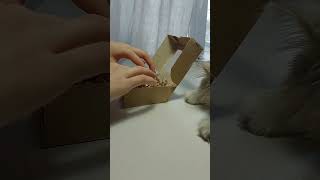 Fluffy control     Пушистый контроль🐱😅   #process