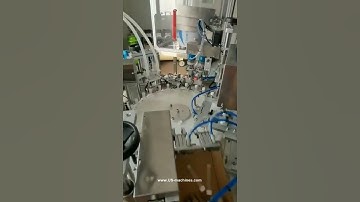 Automatic testing tube feeding turntable type filling capping machine customized packing line