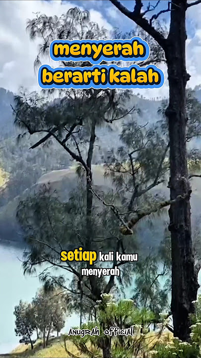 jangan pernah menyerah #menyerah #semangat #shortsfeed #jangkauanluas #short