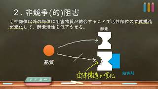 おうち生物 4.  酵素（阻害編）競争的阻害・非競争的阻害・アロステリック阻害