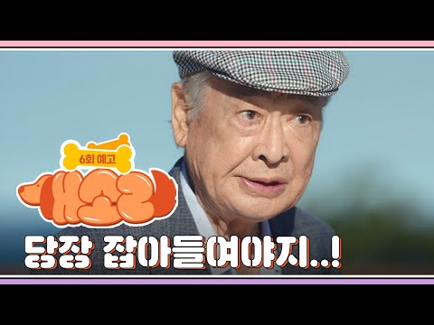[개소리/Dog <strong>Knows</strong> Everything] | KBS 방송