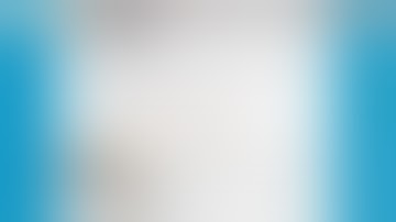 SFI Training - SFI Basics - Four easy ways to earn income at SFI