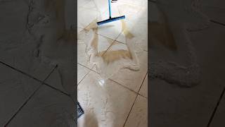 Tudo Que Eu Já Limpei Com O B Clean