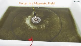Magnetic Force on a Conductive Liquid  -  Vortex in a Magnetic Field