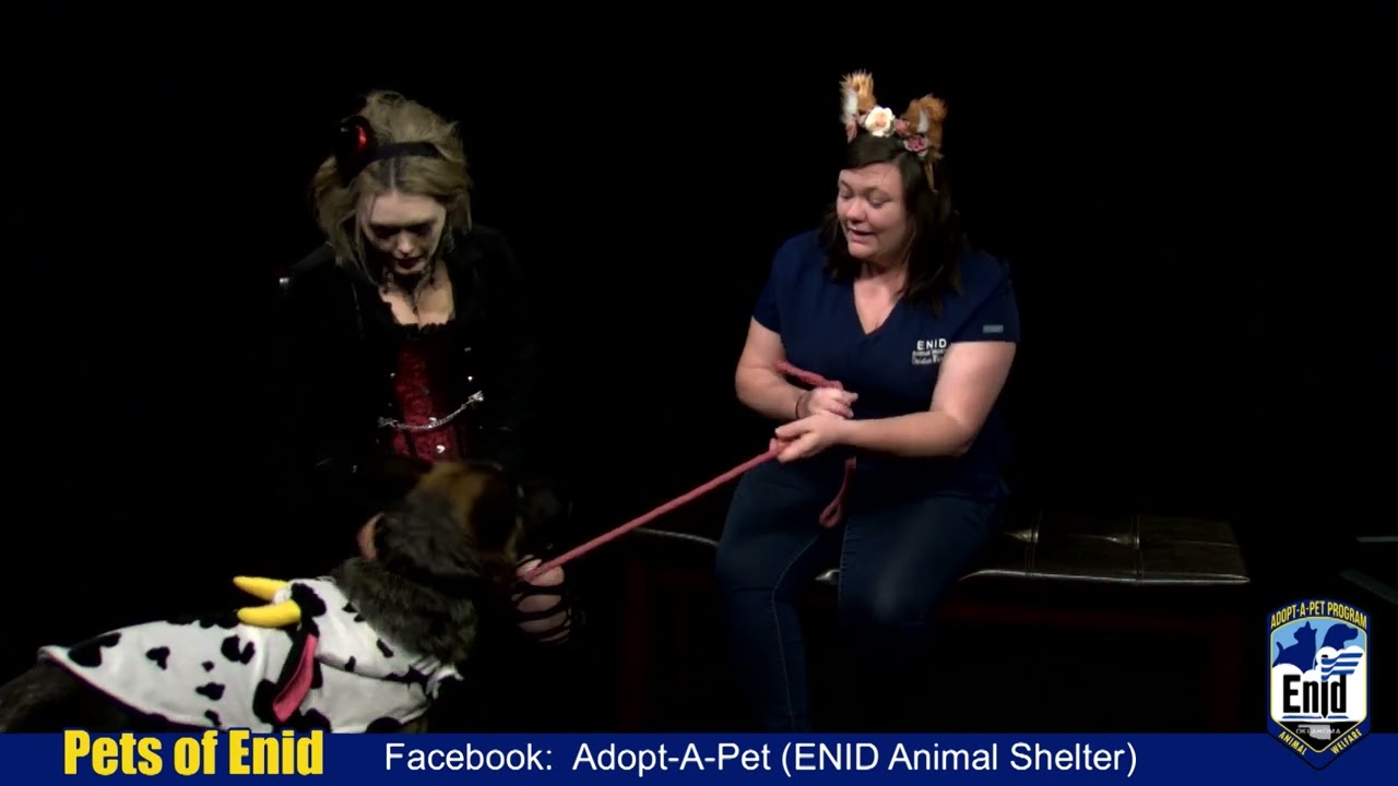 Pets of Enid 10/27/2022 YouTube