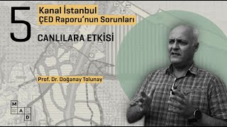 Kanal İstanbul ÇED Raporu'nun Sorunları #5: Canlılara Etkisi - Prof. Dr. Doğanay Tolunay