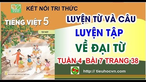 Tiếng Việt 5 Bài 7 Luyện từ và câu: Luyện tập về đại  từ  | Tuần 4 trang 38