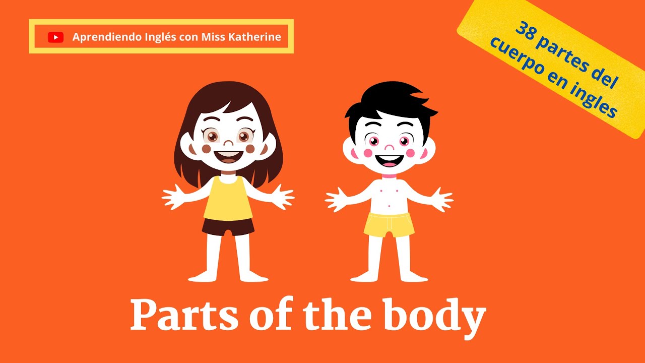 38 PARTES DEL CUERPO EN INGLÉS (Pronunciación y Escritura) - YouTube