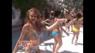 Aqua Dolphin Sokağın Sesi Programı