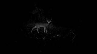 Big Six point 2010.avi