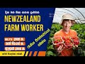 Farm worker jobs in new zealand ii      19000