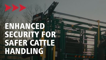 Arrowlock 75 Series | Manual Cattle Squeeze Chute | Arrowquip