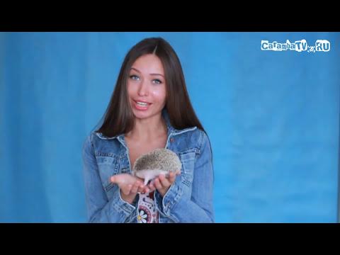 PSP porno oyinlar Ruscha porno videolarni tomosha qiling