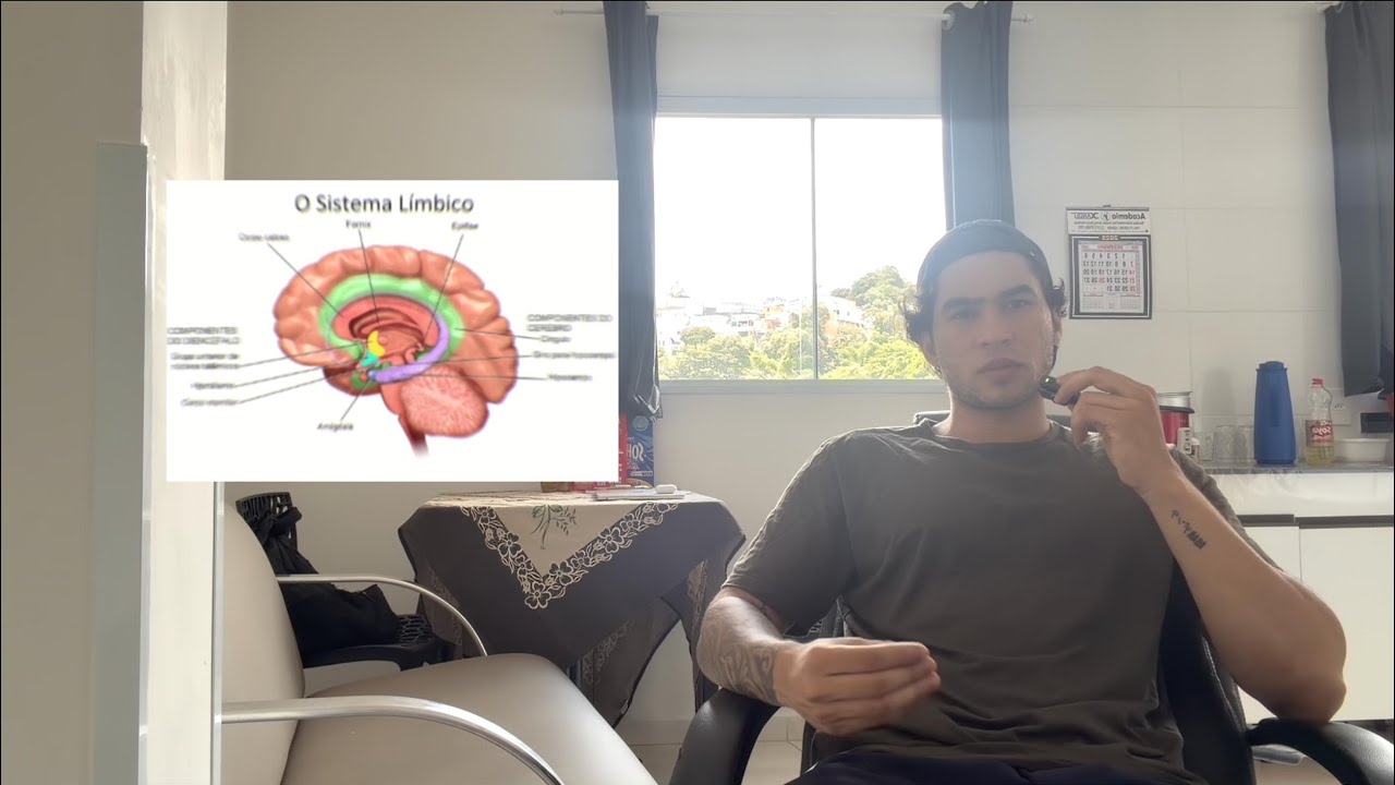 Se torne um MESTRE da Criação em 2026.