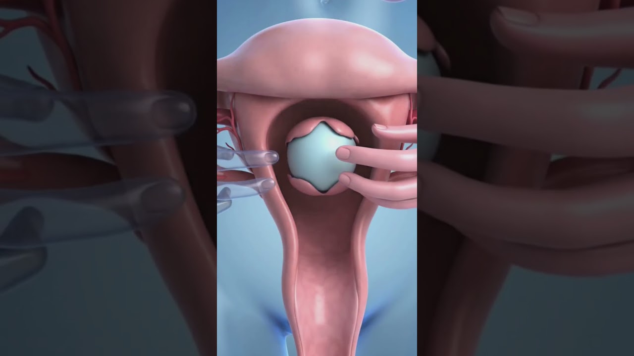 Menstrual Cycle Explained 🩸 | 3D Animation Short #shorts