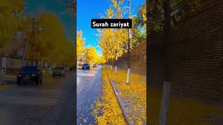 Surah zariyat ayaht 3-7 #Quran #translationclips