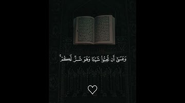 سبحان الله | قرآن كريم بصوت جميل جدا😴❤️# القارئ فارس عباد | اجمل حالات واتس اب دينية قصيرة