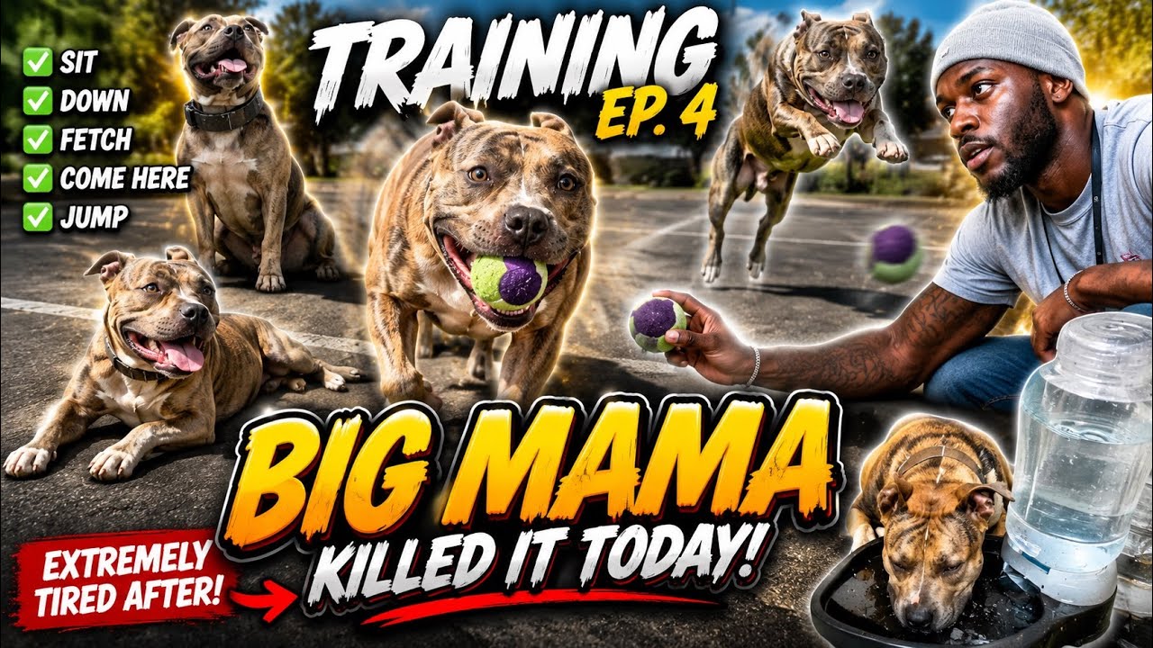 BIG MAMA FINALLY LISTENED… 😳🐶 | Power Hour Ep. 4 - YouTube