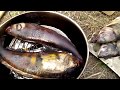 Коптим рыбу сами (терпуг горячего копчения)