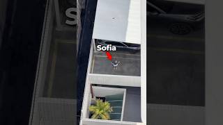 Quem Desce Mais Rápido