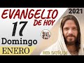 Evangelio de Hoy Domingo 17 de Enero de 2021 | REFLEXIÓN | Red Catolica
