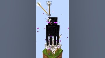 Minecraft Logic That Makes ZERO Sense! 😭🤯 #shorts