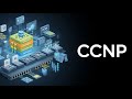 كورس CCNP منحة NTI #14