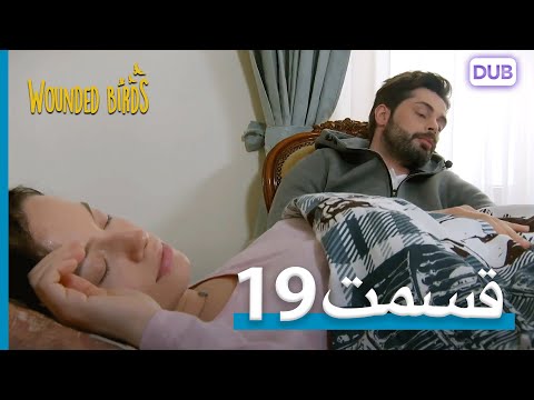 پرندگان زخمی با دوبلۀ فارسی قسمت 19