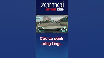 Các cụ gánh còng lưng