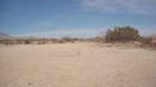 Silly String in the Desert News
