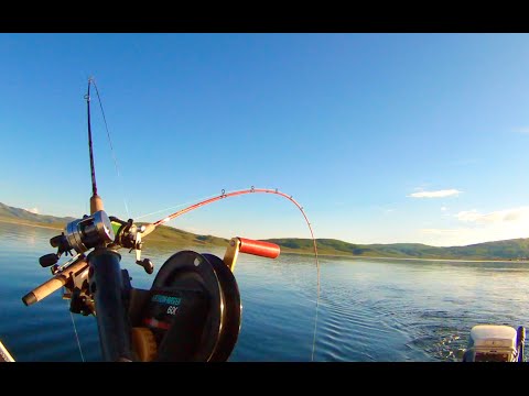 How to Use a Downrigger - YouTube