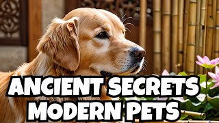 From Ancient Traditions to Modern Practice: Veterinary Acupuncture Demystified