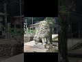 願いぎ届く聖地、淡路最高峰の聖域『諭鶴羽神社』