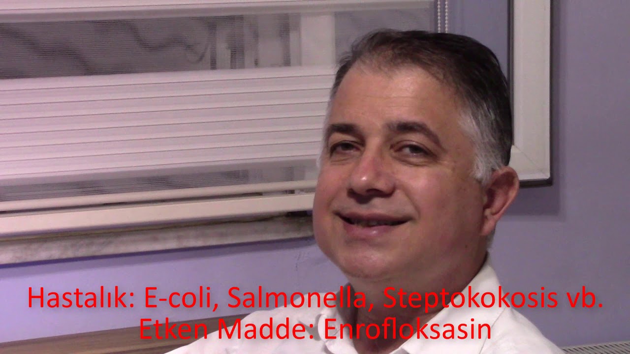 Muhabbet Kuşlarında Görülen Hastalıklar ve Tedavileri