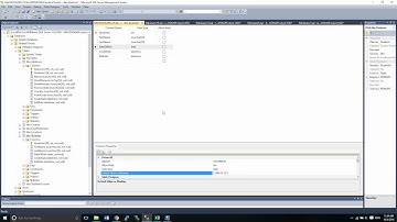 Microsoft SQL Server Management Studio Part 9 - Add and Drop Constraints INSERT Data