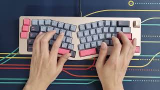 Jacky Lab bear65 V2